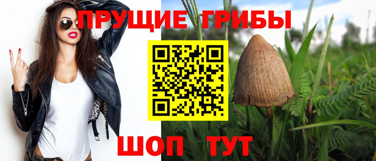 Псилоцибиновые грибы Psilocybine cubensis  Вход с VPN  Серов 